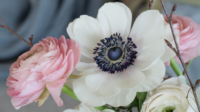 Titelbild von Blumenstiel bei Bleib lokal