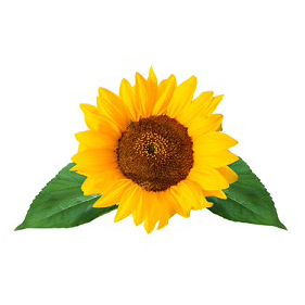 Logo von Eisboutique Girasole bei Bleib lokal